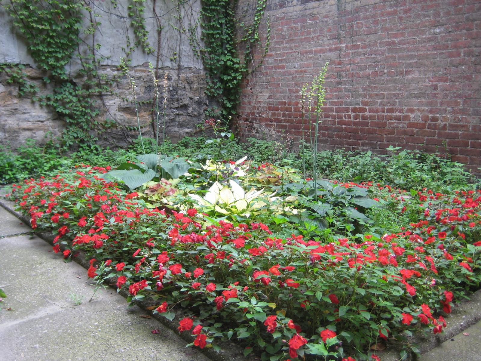 Garden beds with impatiens and hostas
