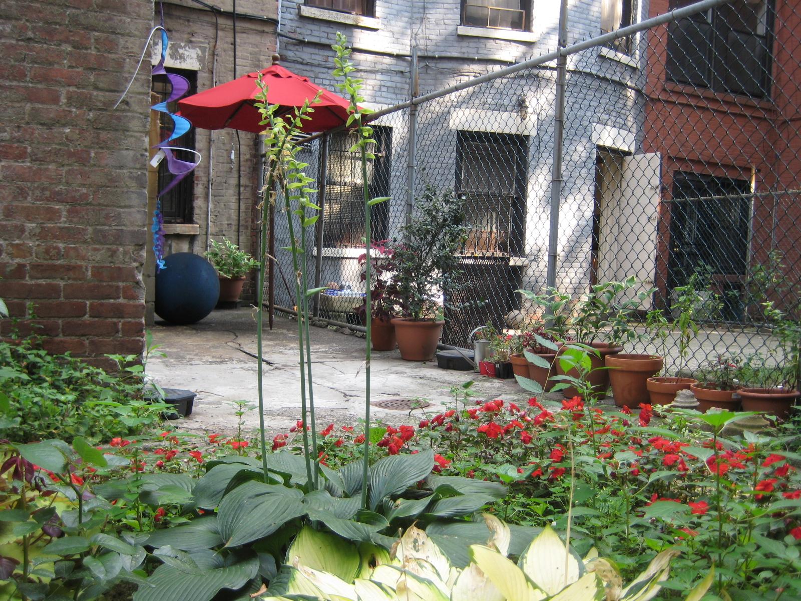 Garden patio with umbrella and potted plants