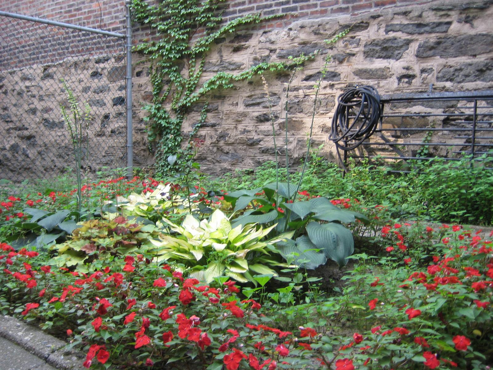 Private garden planted with red impatiens and hostas